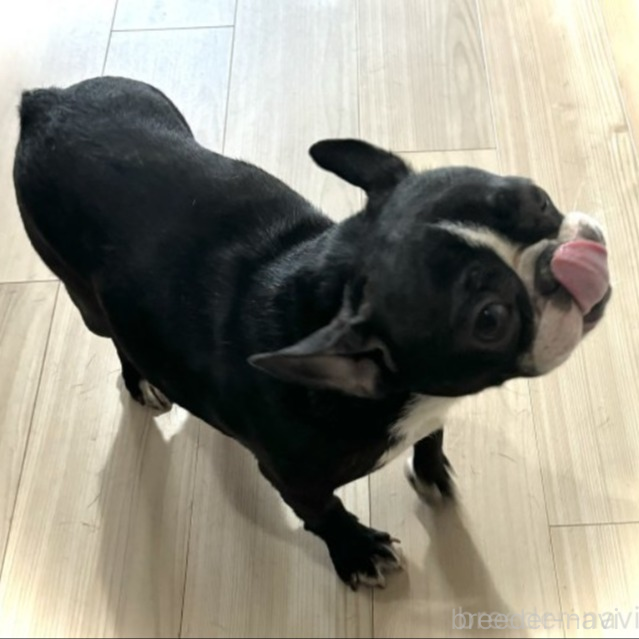 スズちゃん1枚目